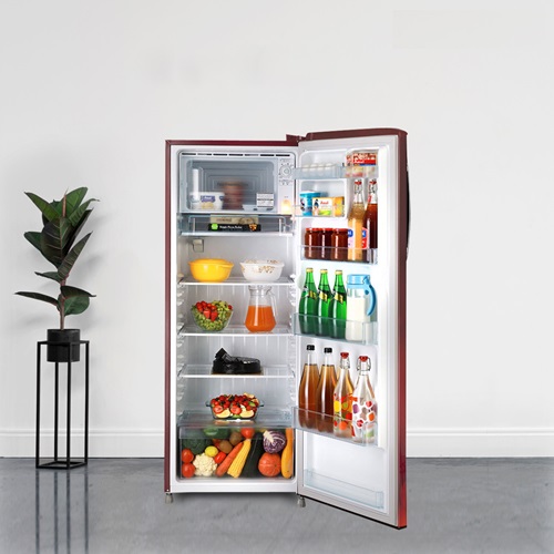 Refrigerator on Rent